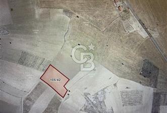 ANKARA GÜDÜL TAŞÖREN'DE KÖY MERKEZİNE 550M MESAFE MÜSTAKİL TARLA