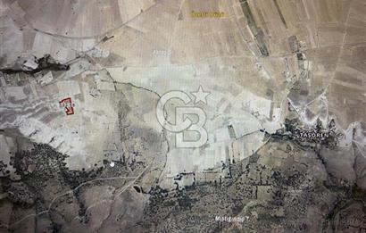 ANKARA GÜDÜL TAŞÖREN'DE BEYPAZARI YOLUNA 550 M MÜSTAKİL TARLA