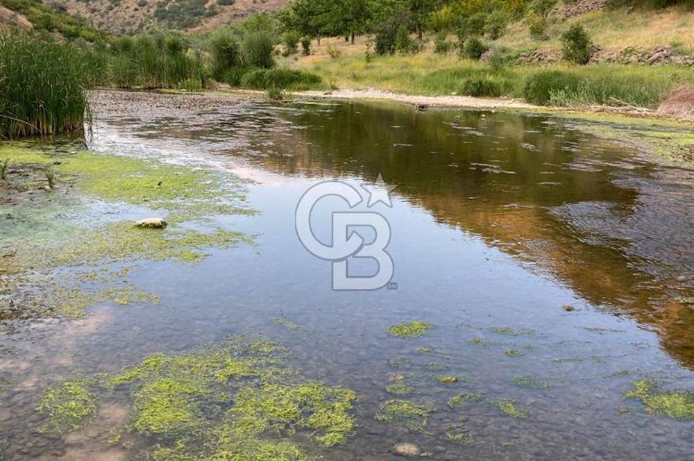 ANKARA GÜDÜL TAŞÖREN'DE KÖY MERKEZİNE 700M DERE KENARI BAĞ