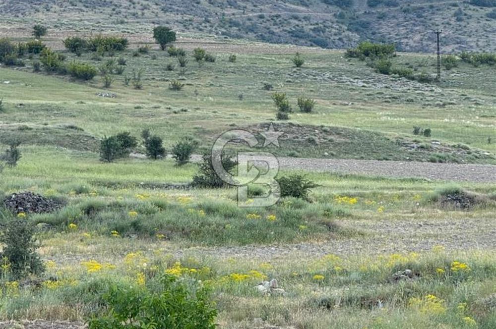 ANKARA GÜDÜL TAŞÖREN'DE BEYPAZARI YOLUNA 550 M MÜSTAKİL TARLA