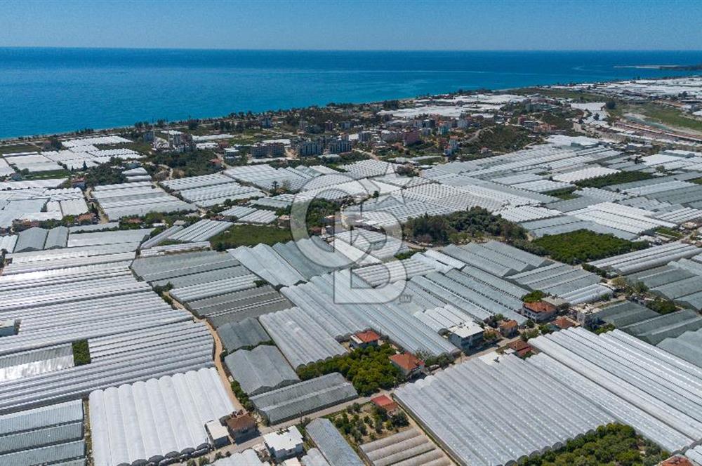 CB ARDEN'DEN DEMRE BEYMELEK'TE SATILIK SERA VE MÜSTAKİL EV