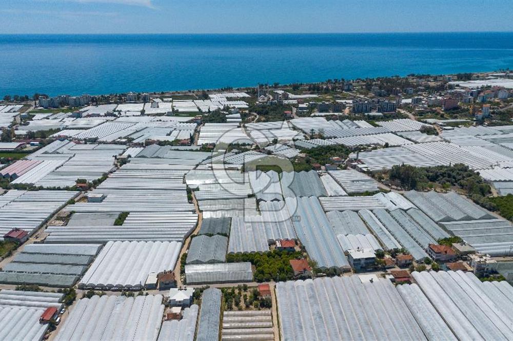 CB ARDEN'DEN DEMRE BEYMELEK'TE SATILIK SERA VE MÜSTAKİL EV