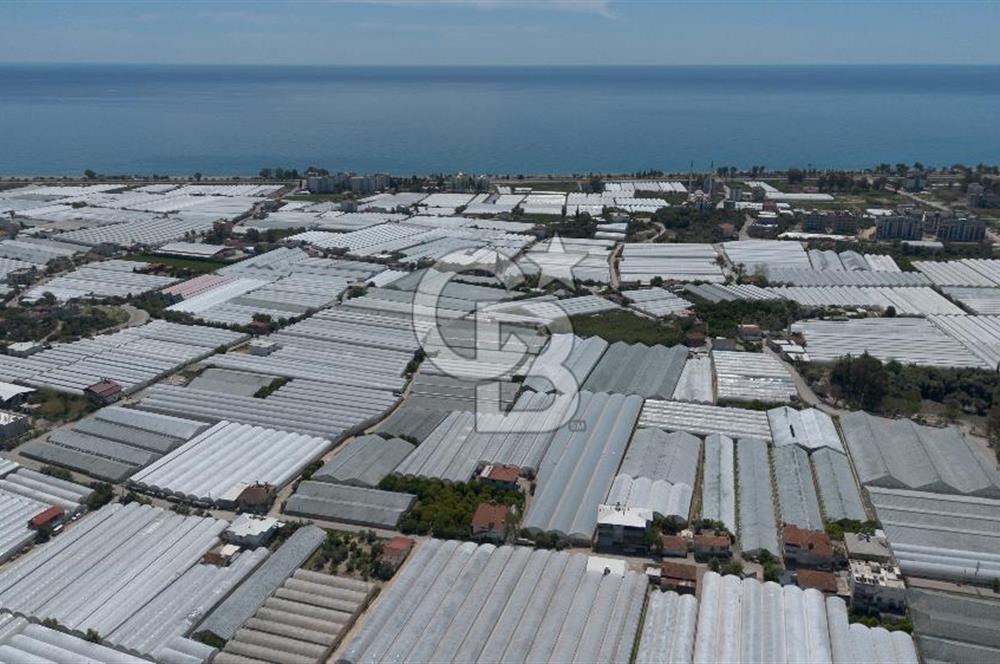 CB ARDEN'DEN DEMRE BEYMELEK'TE SATILIK SERA VE MÜSTAKİL EV