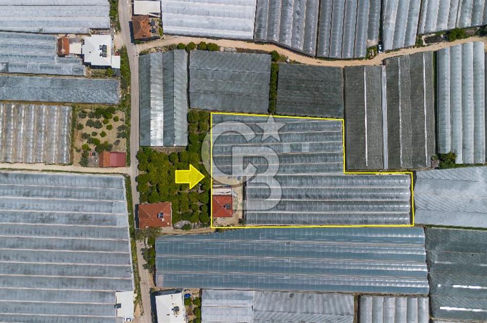 CB ARDEN'DEN DEMRE BEYMELEK'TE SATILIK SERA VE MÜSTAKİL EV
