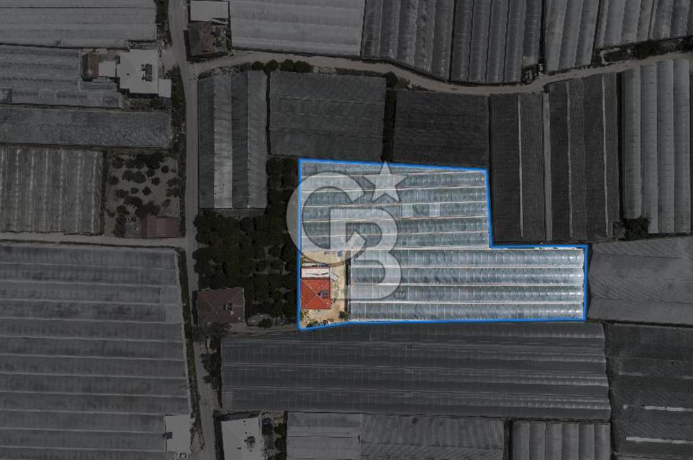 CB ARDEN'DEN DEMRE BEYMELEK'TE SATILIK SERA VE MÜSTAKİL EV