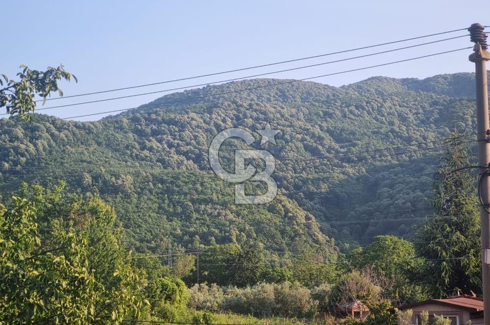 YALOVA ÇINARCIK TEŞVİKİYE DE DOĞA MANZARALI SATILIK 2+1 DAİRE!..