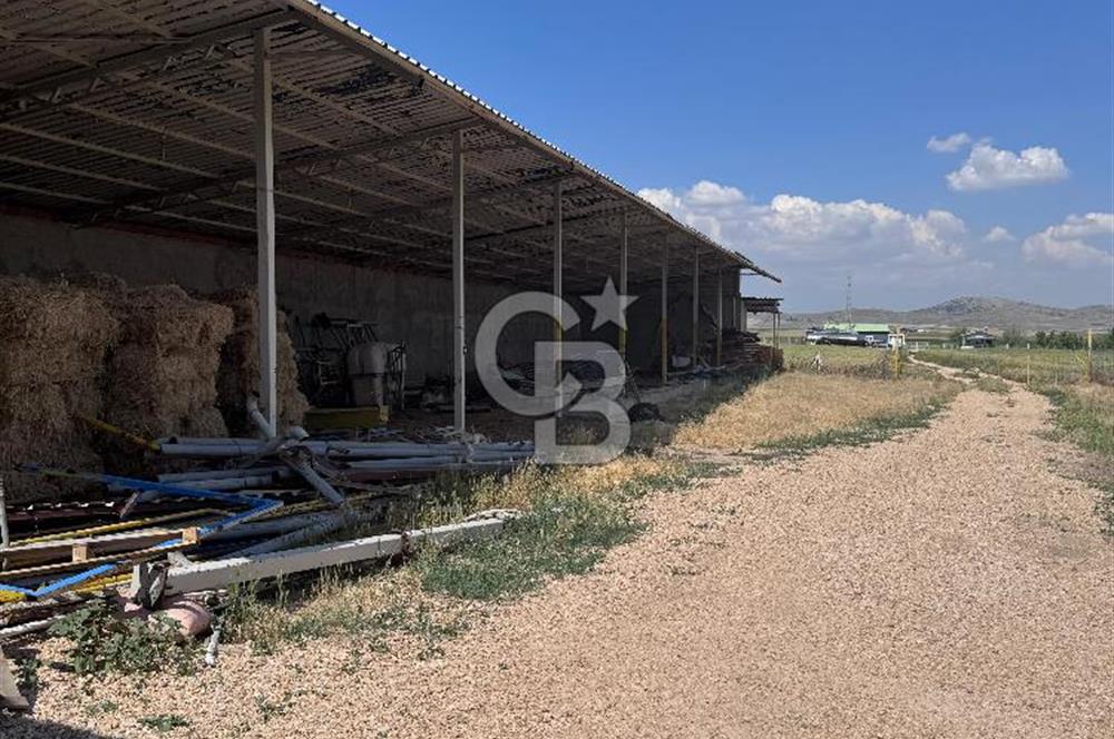 CB CITY'DEN ESKİŞEHİR TÜRKMENTOKATTA KİRALIK DEPO