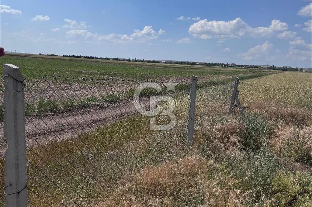 CB CITY'DEN ESKİŞEHİR TÜRKMENTOKATTA KİRALIK DEPO