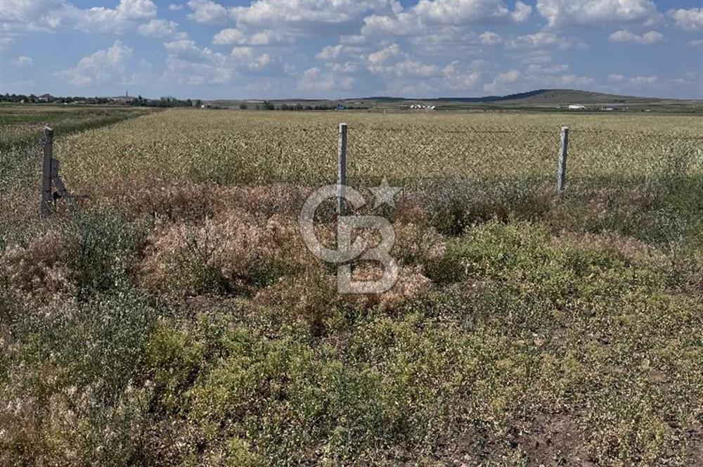 CB CITY'DEN ESKİŞEHİR TÜRKMENTOKATTA KİRALIK DEPO