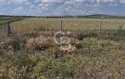 CB CITY'DEN ESKİŞEHİR TÜRKMENTOKATTA KİRALIK DEPO