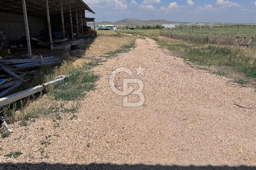 CB CITY'DEN ESKİŞEHİR TÜRKMENTOKATTA KİRALIK DEPO