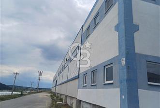 KÜTAHYA TAVŞANLI ORGANİZE SANAYİDE SATILIK FABRİKA