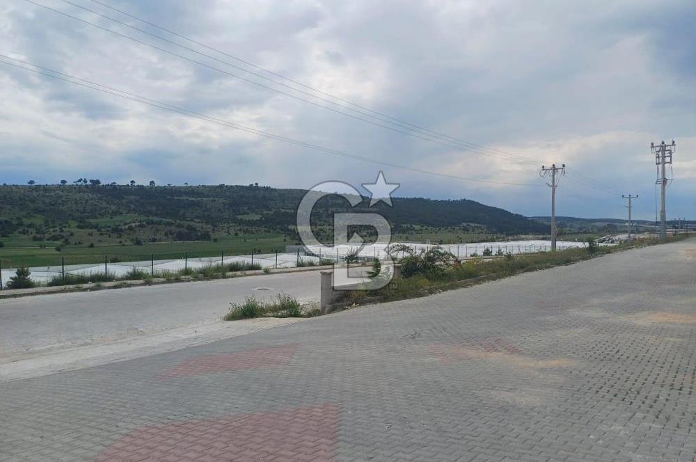 KÜTAHYA TAVŞANLI ORGANİZE SANAYİDE SATILIK FABRİKA