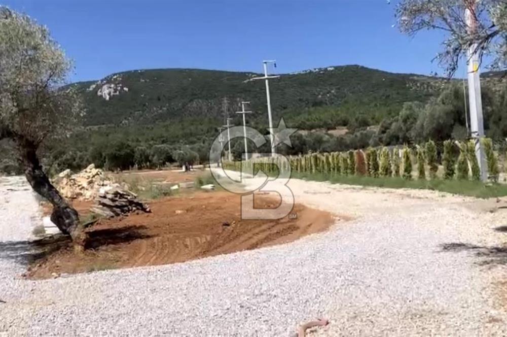 Güzelbahçe Yelki'de Satılık Tarla