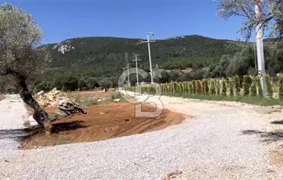 Güzelbahçe Yelki'de Satılık Tarla