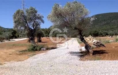 Güzelbahçe Yelki'de Satılık Tarla