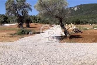 Güzelbahçe Yelki'de Satılık Tarla