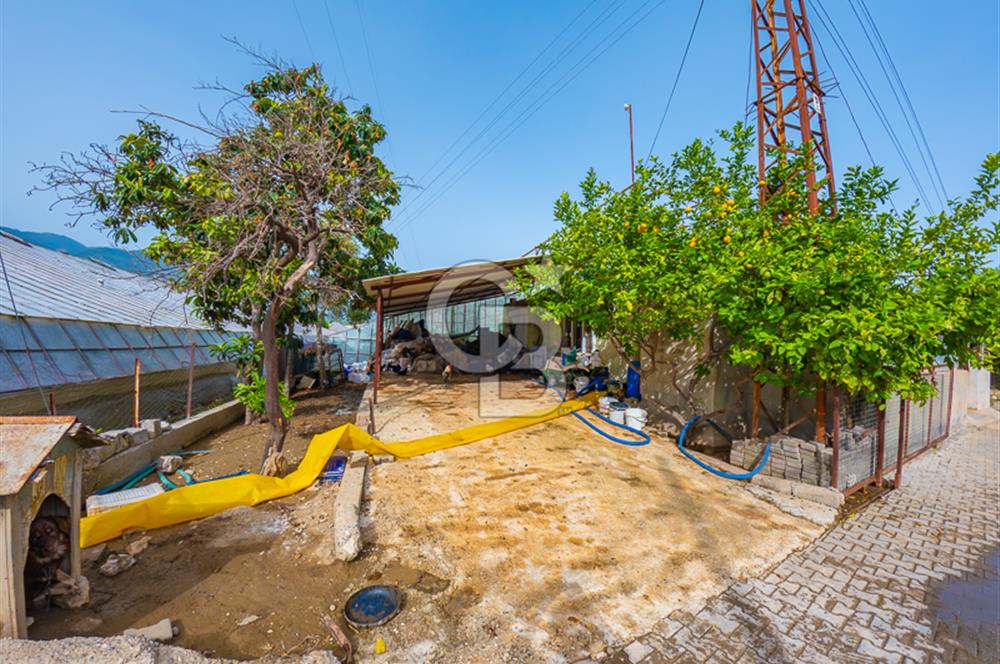CB ARDEN'DEN ANTALYA DEMRE DE SATILIK MÜSTAKİL EV VE SERA
