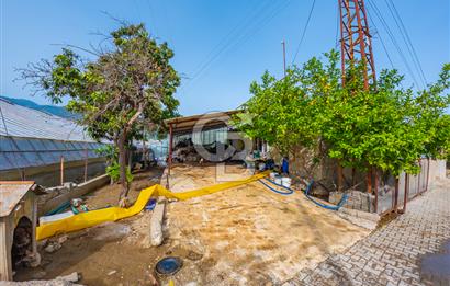 CB ARDEN'DEN ANTALYA DEMRE DE SATILIK MÜSTAKİL EV VE SERA