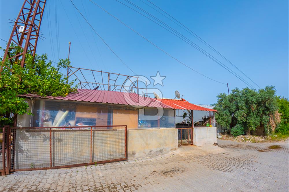 CB ARDEN'DEN ANTALYA DEMRE DE SATILIK MÜSTAKİL EV VE SERA
