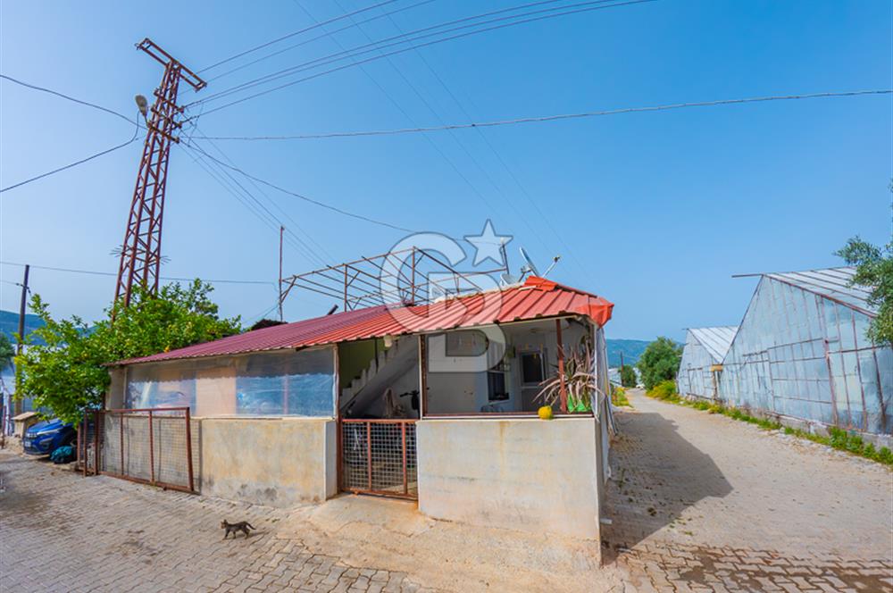 CB ARDEN'DEN ANTALYA DEMRE DE SATILIK MÜSTAKİL EV VE SERA