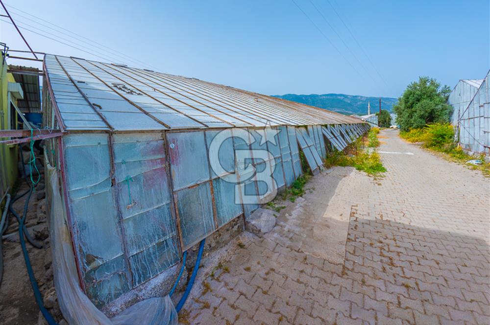 CB ARDEN'DEN ANTALYA DEMRE DE SATILIK MÜSTAKİL EV VE SERA