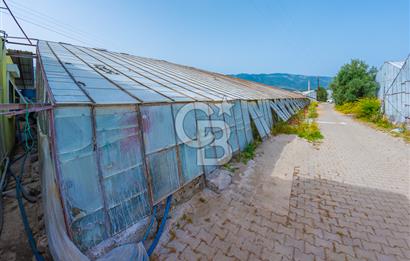 CB ARDEN'DEN ANTALYA DEMRE DE SATILIK MÜSTAKİL EV VE SERA