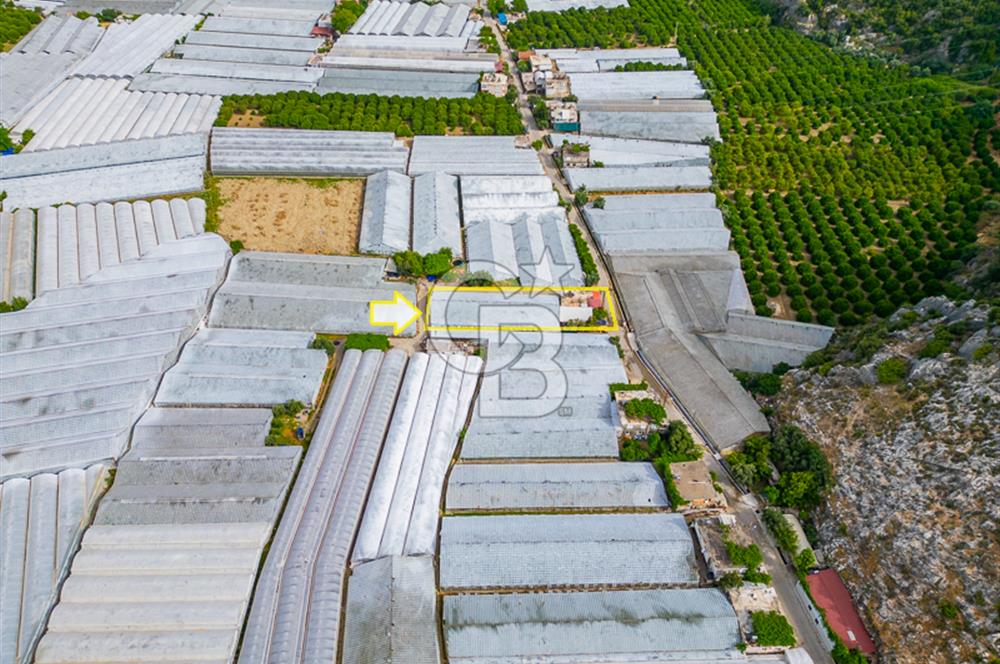 CB ARDEN'DEN ANTALYA DEMRE DE SATILIK MÜSTAKİL EV VE SERA