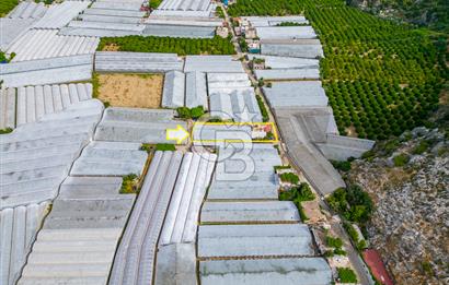 CB ARDEN'DEN ANTALYA DEMRE DE SATILIK MÜSTAKİL EV VE SERA