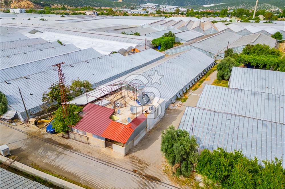 CB ARDEN'DEN ANTALYA DEMRE DE SATILIK MÜSTAKİL EV VE SERA