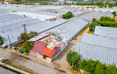 CB ARDEN'DEN ANTALYA DEMRE DE SATILIK MÜSTAKİL EV VE SERA