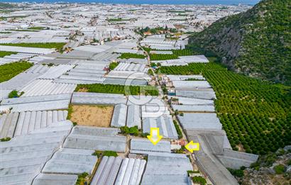 CB ARDEN'DEN ANTALYA DEMRE DE SATILIK MÜSTAKİL EV VE SERA