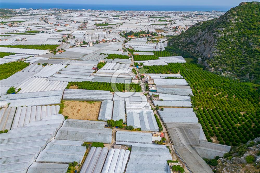 CB ARDEN'DEN ANTALYA DEMRE DE SATILIK MÜSTAKİL EV VE SERA