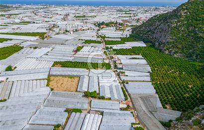 CB ARDEN'DEN ANTALYA DEMRE DE SATILIK MÜSTAKİL EV VE SERA