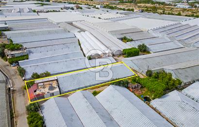 CB ARDEN'DEN ANTALYA DEMRE DE SATILIK MÜSTAKİL EV VE SERA