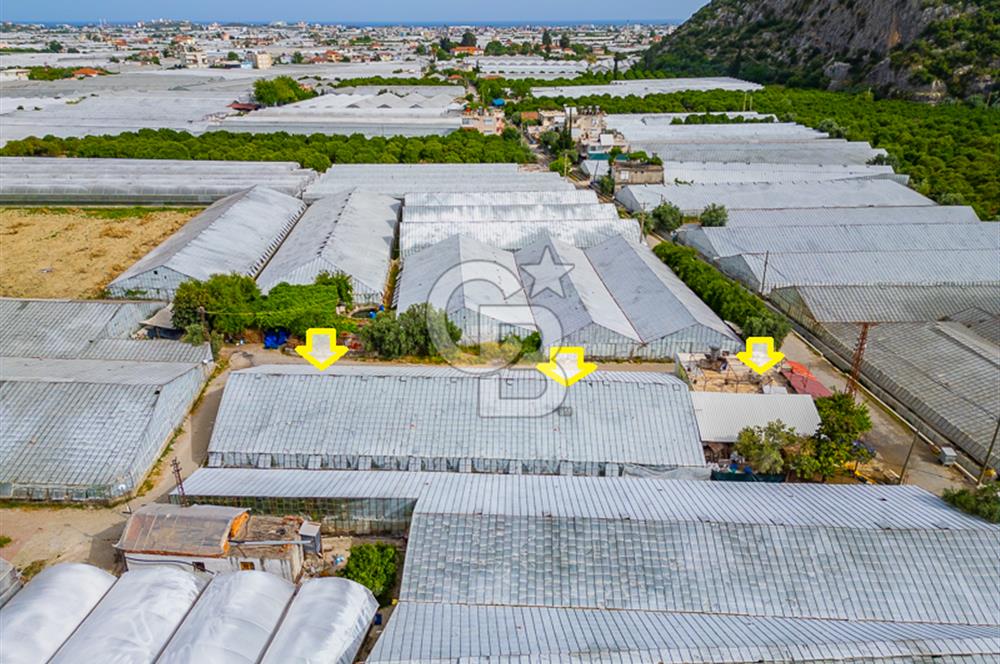 CB ARDEN'DEN ANTALYA DEMRE DE SATILIK MÜSTAKİL EV VE SERA