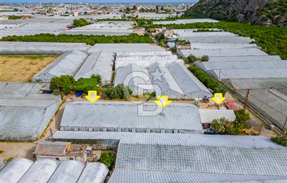 CB ARDEN'DEN ANTALYA DEMRE DE SATILIK MÜSTAKİL EV VE SERA
