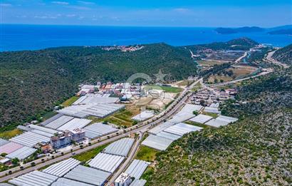 CB ARDEN'DEN ANTALYA DEMRE MERKEZ DE SATILIK GENİŞ 4+1 DAİRE