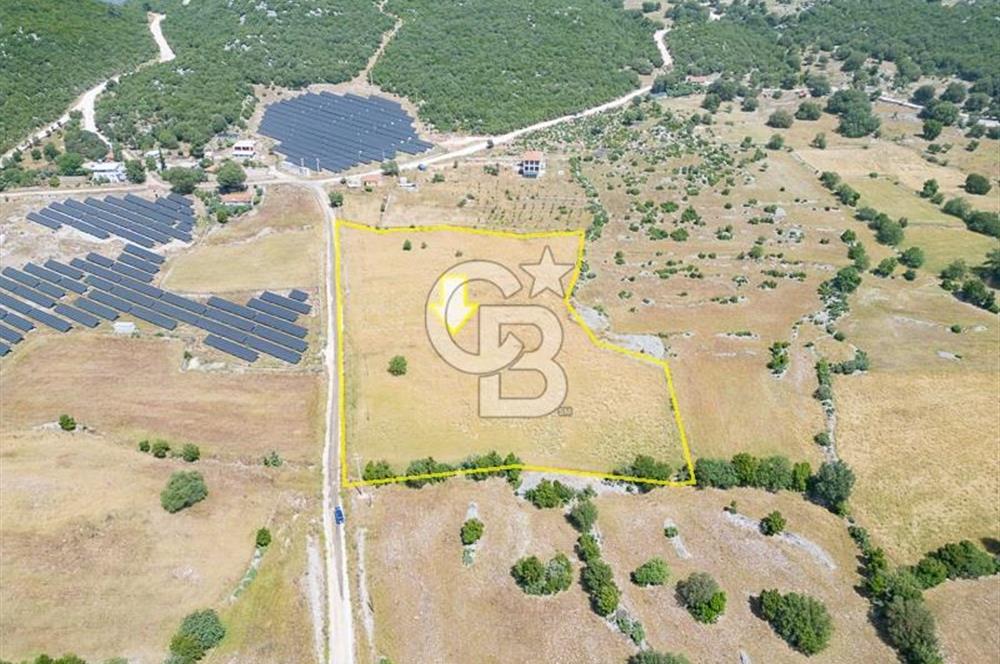 CB ARDEN'DEN KAŞ BELKONAK 17 DÖNÜM SATILIK YOL KENARI TARLA