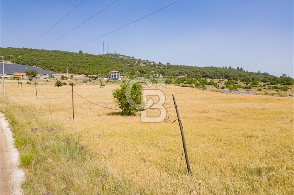 CB ARDEN'DEN KAŞ BELKONAK 17 DÖNÜM SATILIK YOL KENARI TARLA