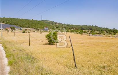CB ARDEN'DEN KAŞ BELKONAK 17 DÖNÜM SATILIK YOL KENARI TARLA
