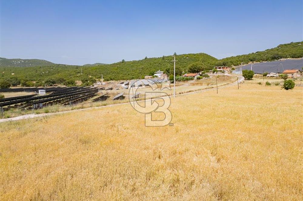 CB ARDEN'DEN KAŞ BELKONAK 17 DÖNÜM SATILIK YOL KENARI TARLA