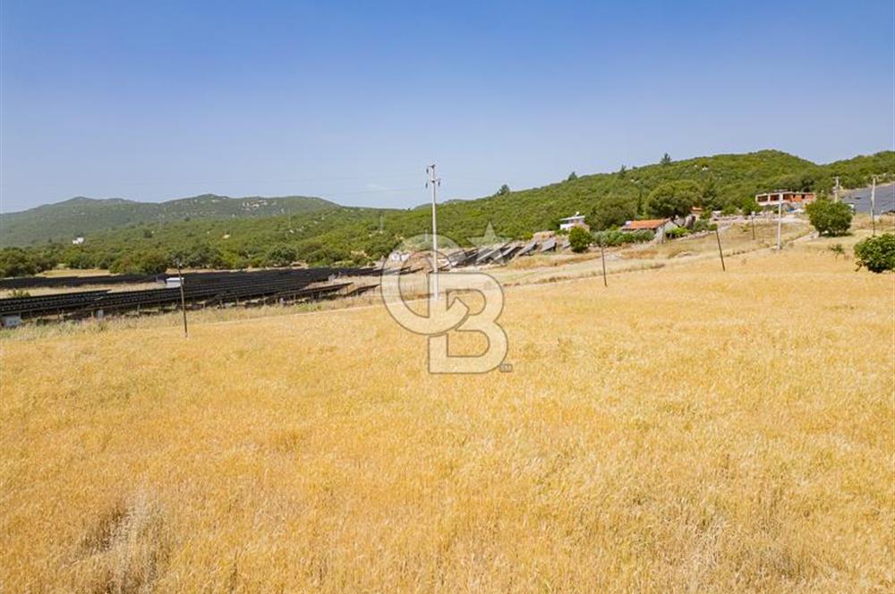 CB ARDEN'DEN KAŞ BELKONAK 17 DÖNÜM SATILIK YOL KENARI TARLA