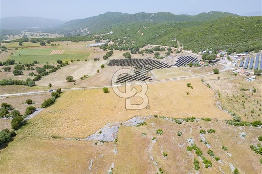 CB ARDEN'DEN KAŞ BELKONAK 17 DÖNÜM SATILIK YOL KENARI TARLA