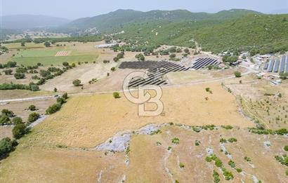 CB ARDEN'DEN KAŞ BELKONAK 17 DÖNÜM SATILIK YOL KENARI TARLA