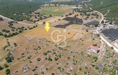 CB ARDEN'DEN KAŞ BELKONAK 17 DÖNÜM SATILIK YOL KENARI TARLA