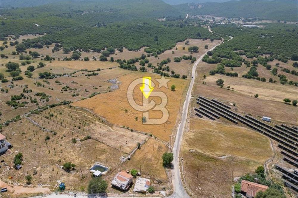 CB ARDEN'DEN KAŞ BELKONAK 17 DÖNÜM SATILIK YOL KENARI TARLA
