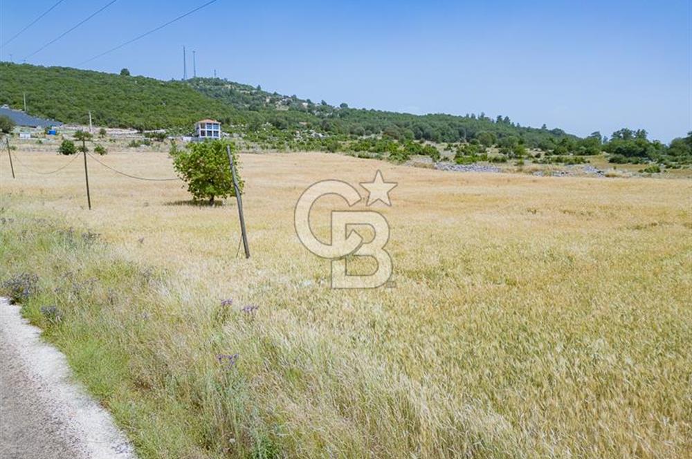 CB ARDEN'DEN KAŞ BELKONAK 17 DÖNÜM SATILIK YOL KENARI TARLA