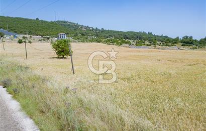 CB ARDEN'DEN KAŞ BELKONAK 17 DÖNÜM SATILIK YOL KENARI TARLA