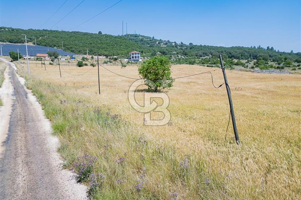 CB ARDEN'DEN KAŞ BELKONAK 17 DÖNÜM SATILIK YOL KENARI TARLA